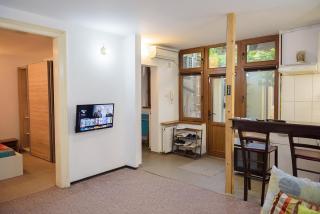 Center Walking Apartment and Room - Bucharest - 8