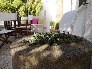 Granny's Olive Mill Villa - Palekastro - 4