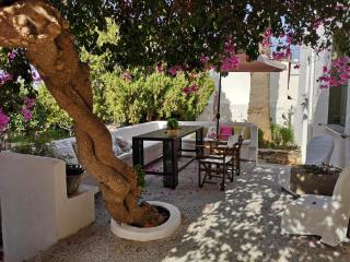 Granny's Olive Mill Villa - Palekastro - 9