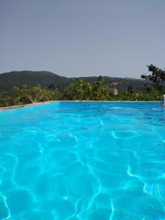 Apartment with private pool for rent in Tzanata Kefalonia - Dhimisianáta - 4