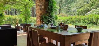 Domaine Codaleone - Serriera - 6
