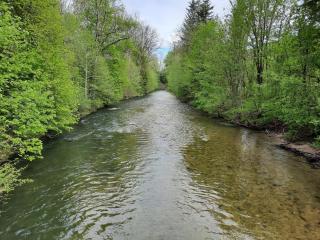 Hotel Pension Lindenhof - Prien am Chiemsee - 2