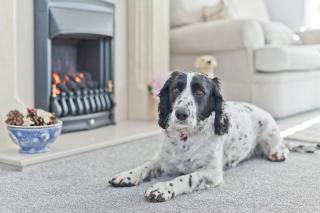 Kents Bank Holiday - Pet Friendly with Bay Views - 6