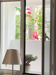 Central - São Pedro Boutique - Funchal - 7