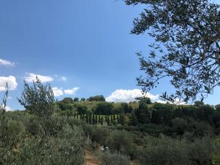Montevenere 83 - Chiusi - 4