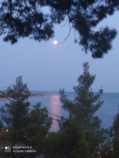 Pefkonas apartments2 100 m from the beach - 6