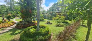 Nubdao Resort&Restaurant - Nong Prue - 8
