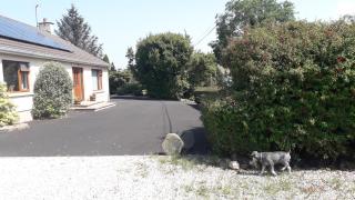 Lovely 1-Bed Apartment at Whitepark Bay Co Antrim - Bushmills - 9