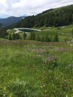 Studio montagne - Allos - 4
