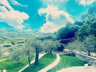 Casa vacanze gli ulivi - Borgomaro - 9