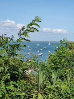 Le cocooning - Andernos-les-Bains - 2