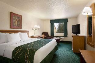 Baymont by Wyndham Hearne - Hearne - 2