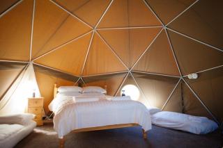 Durrell Wildlife Camp - 9