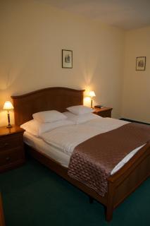Platán Hotel - Sárvár - 9