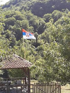 Плави вајат - 1