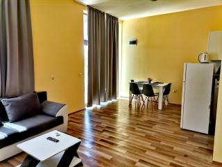 Pool Apartment Amadeus Lux - 1