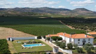 Quinta Sta Luzia Carrascal - Vila Flor - 4