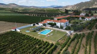 Quinta Sta Luzia Carrascal - Vila Flor - 5