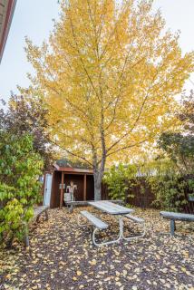 Pinedale Cozy Cabins - 1