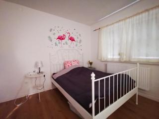Ulm 2-room Apartment near university & city Centre - 1