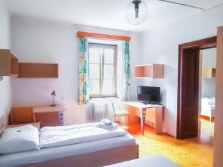 Gasthof Elisabeth - Bad Aussee - 2