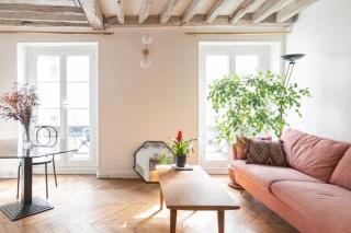 Splendid flat near the Marais - 9
