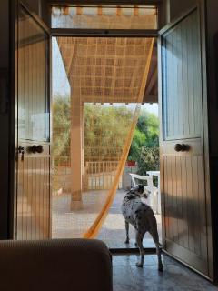 Casa vacanze Le Dune - 8