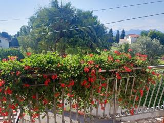 NICOLE COUNTRY APARTMENTS - Cassacco - 9