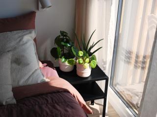 Apartament CITY BREAK 124 - Varsovie - 5