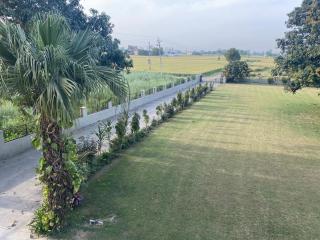 Mango Grove Farm - 7