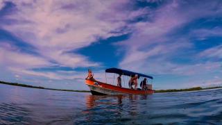 Dolphin Bay Hideaway - Bocas del Toro - 4