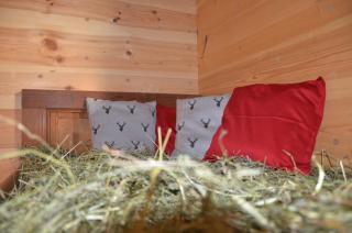 Naturchalet - Al Plan di Mareo - 3