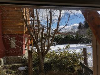 MONO - San Carlos de Bariloche - 2