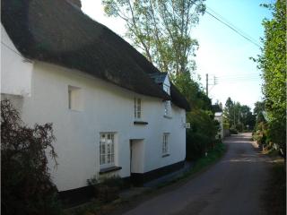 Splatthayes B&B - 5