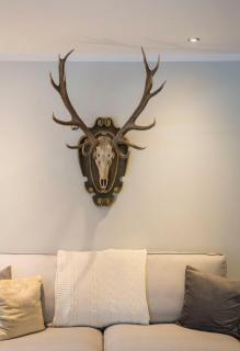 Family Wellhouse Green Garden direct in Salzburg, sunny big garden, up to 16 pax, bikes for free, BBQ, sunbeds, parking for free, 15 min sound of music - 7