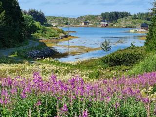 Vollvaagen Apartments Smøla, boat included - Smøla - 2