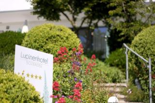 Lupinenhotel Bodensee - Apartment mit Seeblick - Sipplingen - 4
