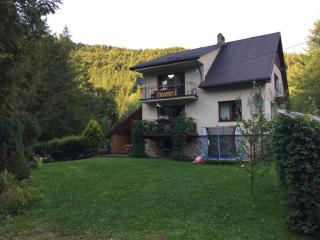 Agropensjonat Tramp z góralskim spa - Żabnica - 2
