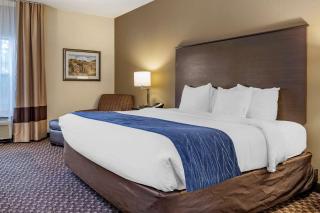 Comfort Inn Wings Stadium - 9