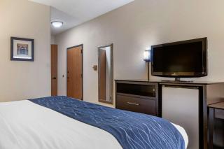 Comfort Inn Wings Stadium - 7