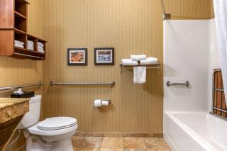 Comfort Inn Wings Stadium - 3