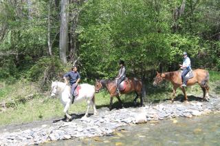 Apartamentos wifi Baqueira & Aigüestortes con jardín privado - 2