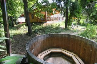 Blockhaus Chalet mit beheizbarem Badefass und Infrarotsauna auf der Terrasse - Oberschützen - 4