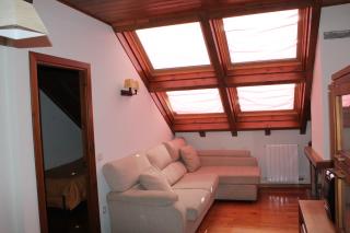 Apartamentos wifi Baqueira & Aigüestortes con jardín privado - Esterri d'Àneu - 4