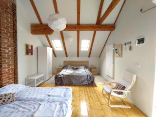 Apartments Eco Forest Resort - Rakovica - 8
