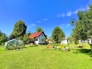 Apartments Eco Forest Resort - Rakovica - 0