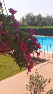 AGRITURISMO IL PINO - APPARTAMENTO CIPRESSO - Gambassi Terme - 3