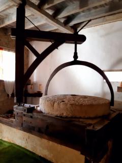 Le Moulin de Saubrigues - Saubrigues - 1