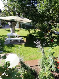 Apartma pri Olgi - Bled - 8