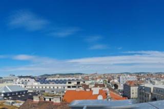 Penthouse with Amazing Terrace l LF42 - Vienna - 9